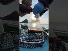ギャラリービューア【Ｓサイズ】小さいイカの沖漬け2つと旬のお魚詰め合わせに読み込んでビデオを見る
